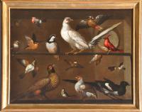 An aviary of song birds, Tommaso Campana