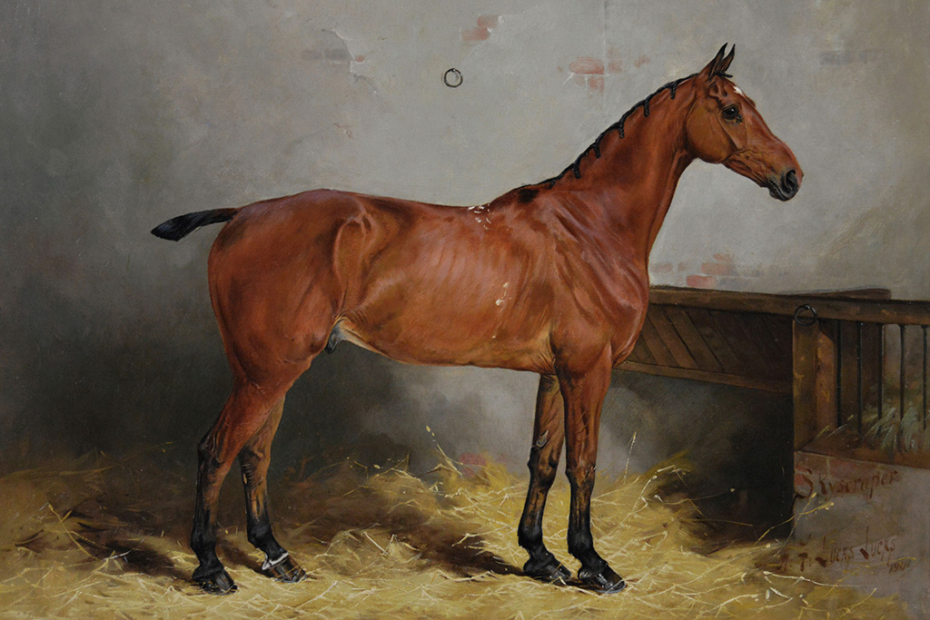 Horse portrait oil painting of a prize winning bay