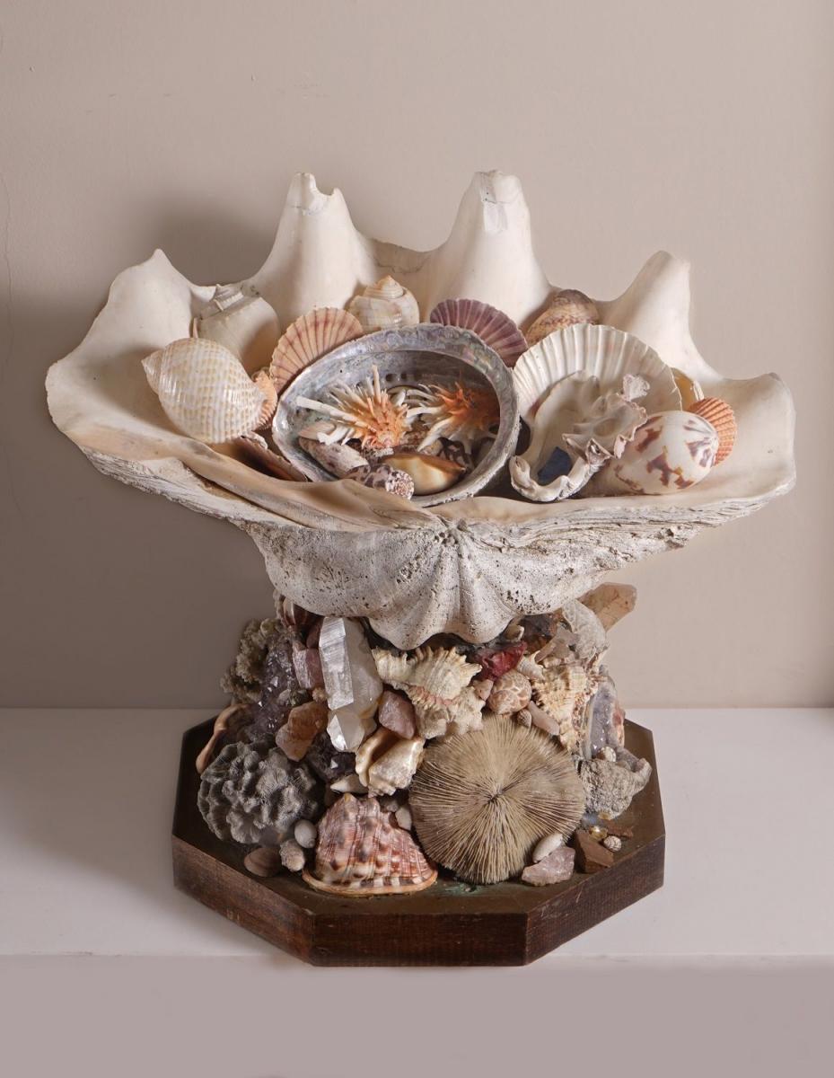 REDMILE SHELL AND MINERAL CENTREPIECE 
