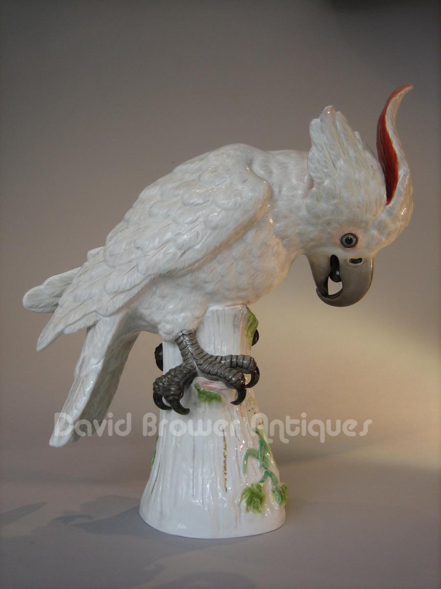 Large Meissen figure of a Cockatoo