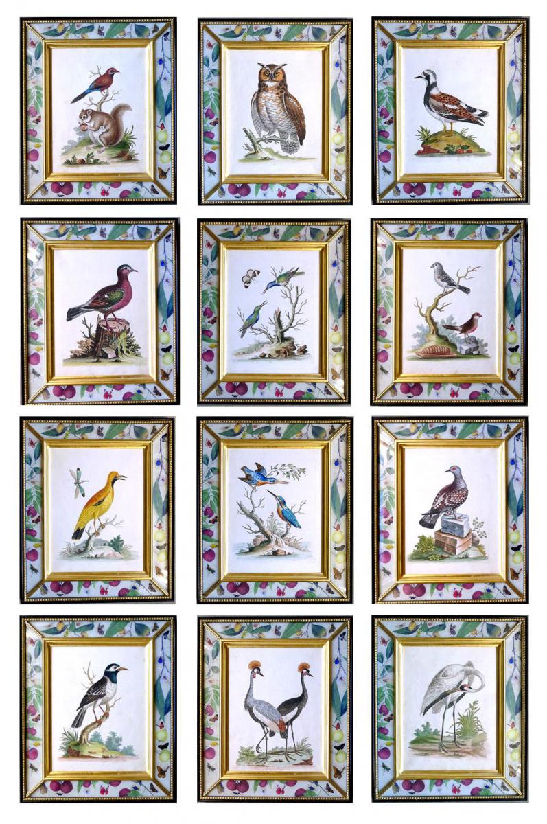 George Edwards Set of Twelve Bird Engravings, within Modern Decoupage Frames, From A Natural History of Uncommon Birds. Circa 17