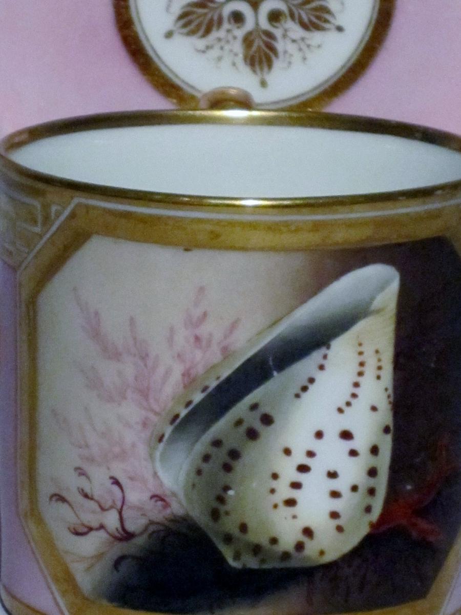 Worcester porcelain can & saucer