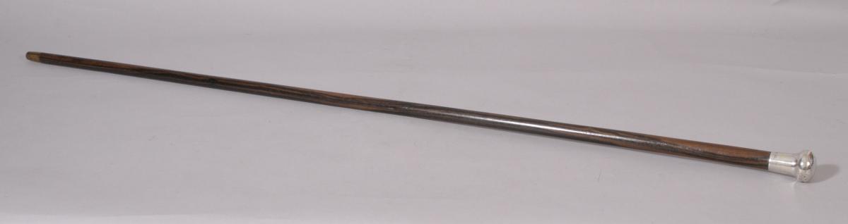 S/3122 Antique Early 20th century Coromandel Tapered Walking Cane