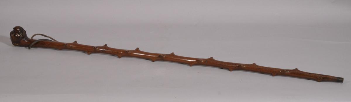 S/3232 Antique 19th Century Briar Walking Stick