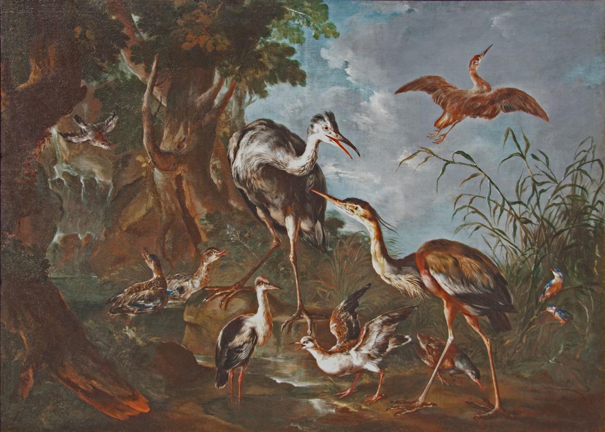 GIOVANNI CRIVELLI called Il CRIVELLINO c.1690 - 1760 Italian School  Herons, ducks and kingfishers by a stream in a wooded lands