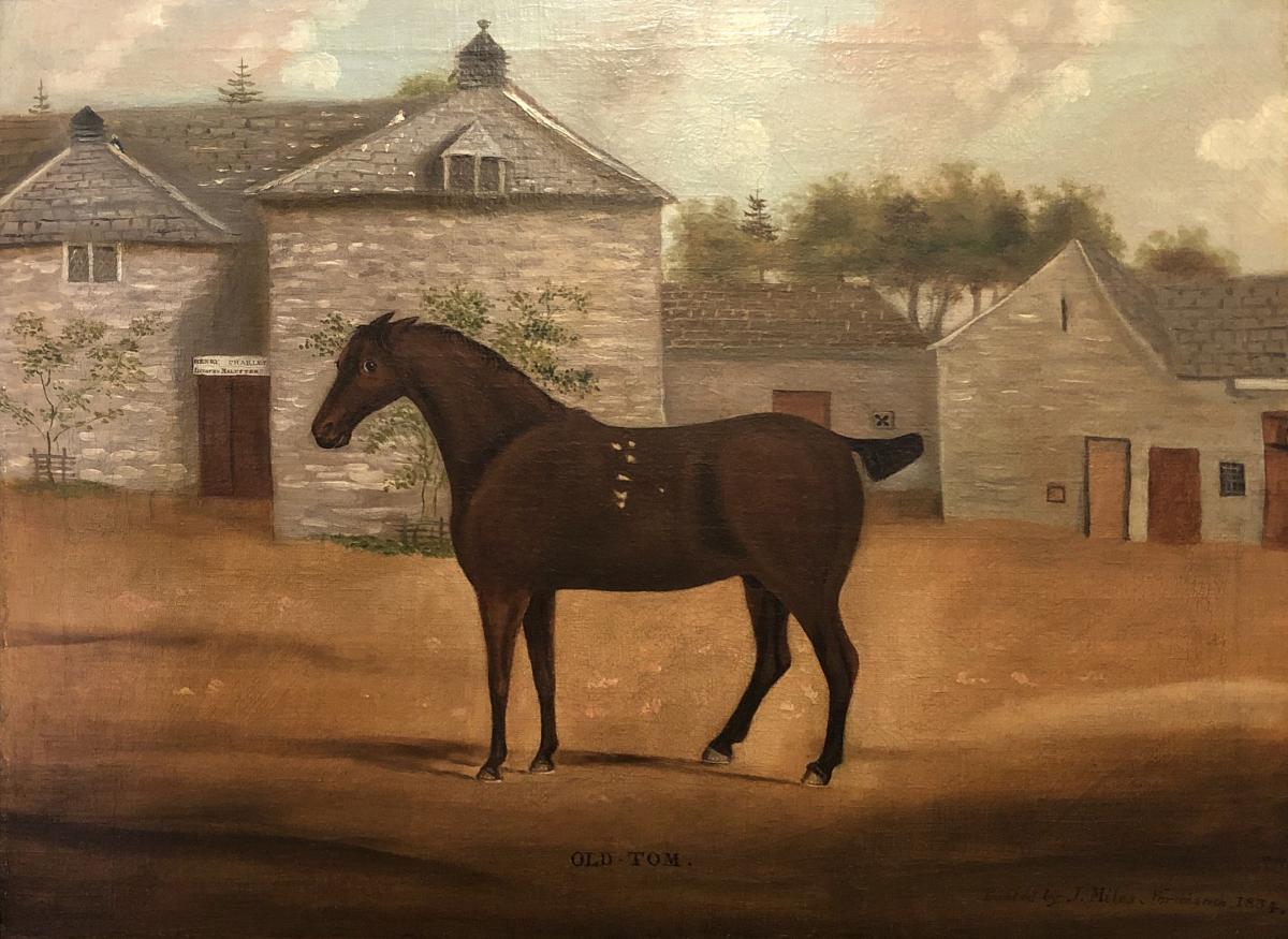  Naïve oil painting of a horse entitled ‘Old Tom’