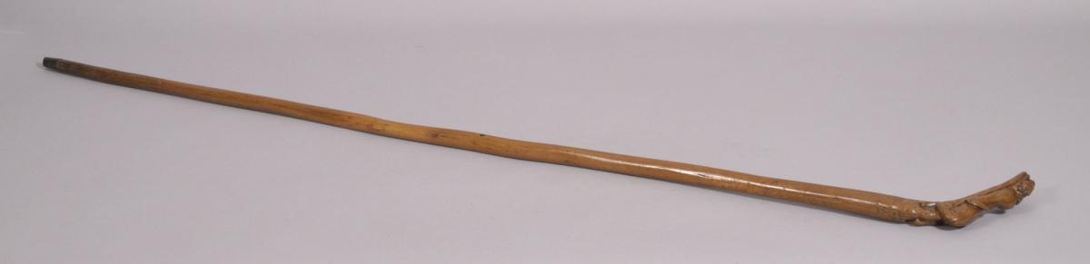 S/2064 Antique Treen 19th Century Hazel Walking Stick