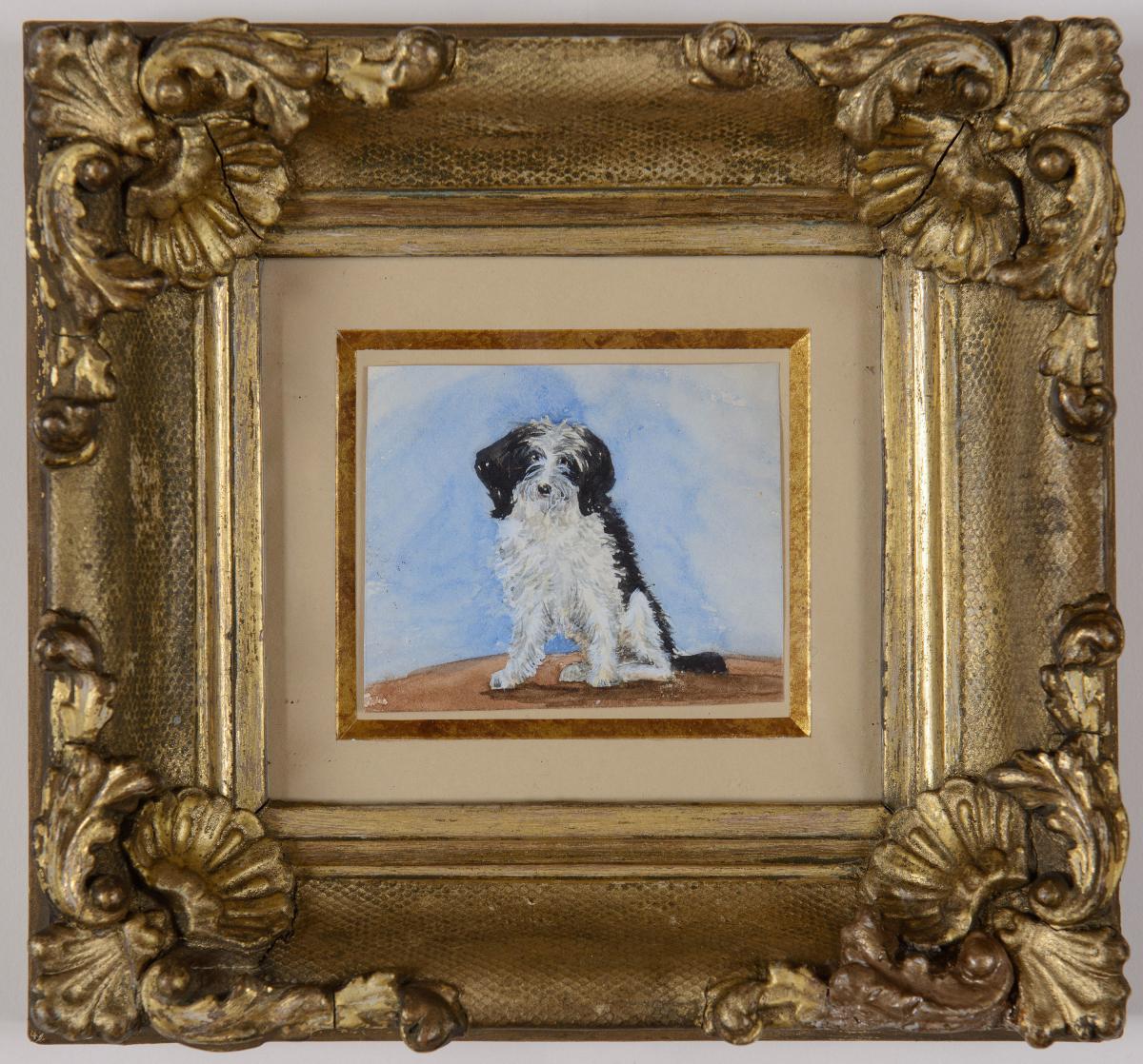 A black and white dog - Lady Emily Dundas (d. 1900), framed