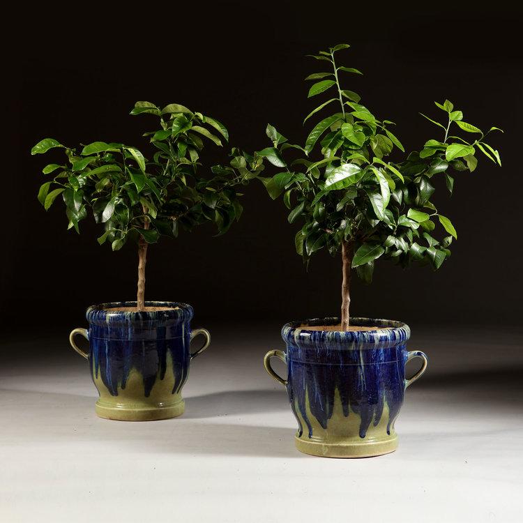 A Pair of French Art Pottery Jardinieres