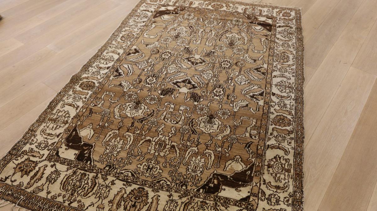 Pair of late 19th century Indian Agra Rugs