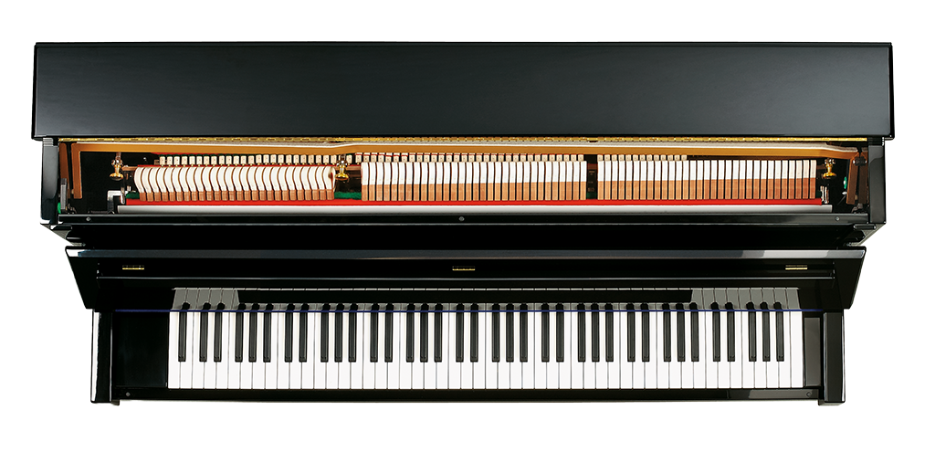 C. Bechstein A124 Imposant traditional