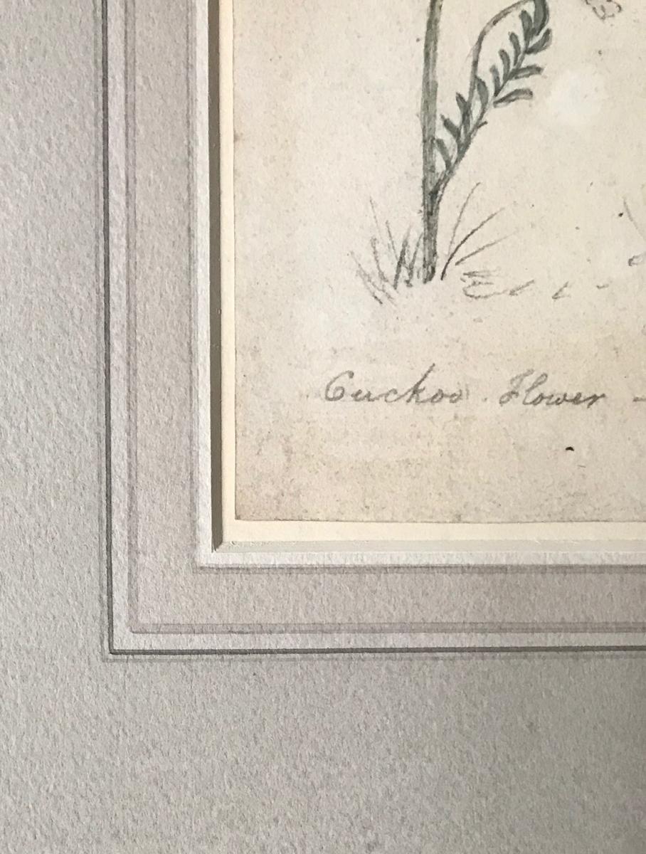 Cuckoo Flower, James Ward, R.A. (British 1769-1859), signature