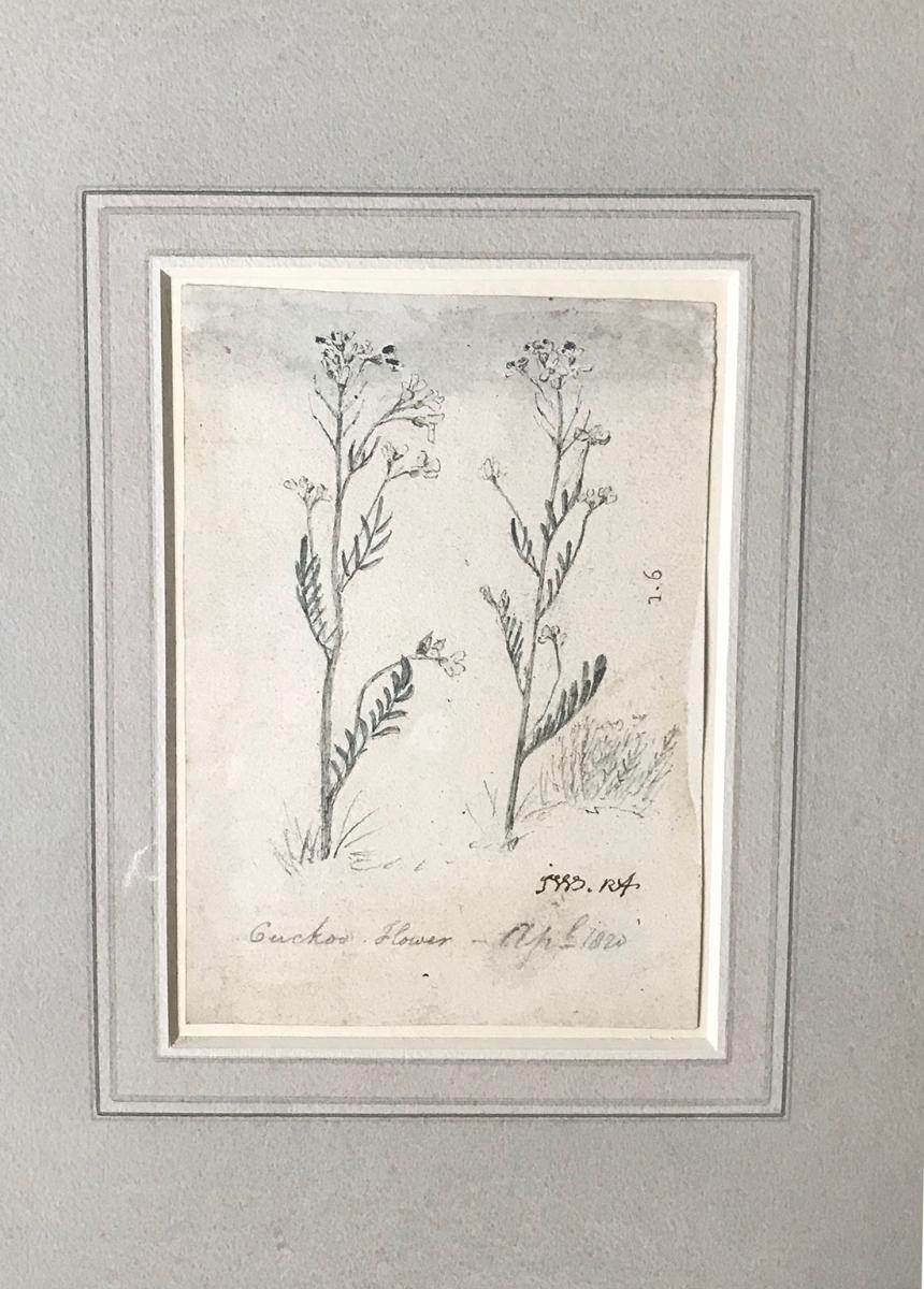 Cuckoo Flower, James Ward, R.A. (British 1769-1859), mounted