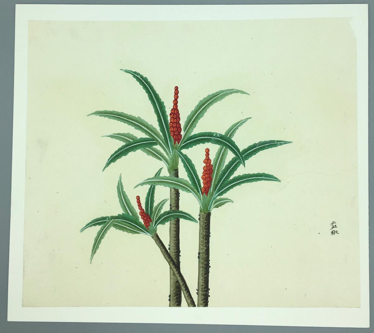 Set of 8 Chinese Gouache Painting Circa 1850