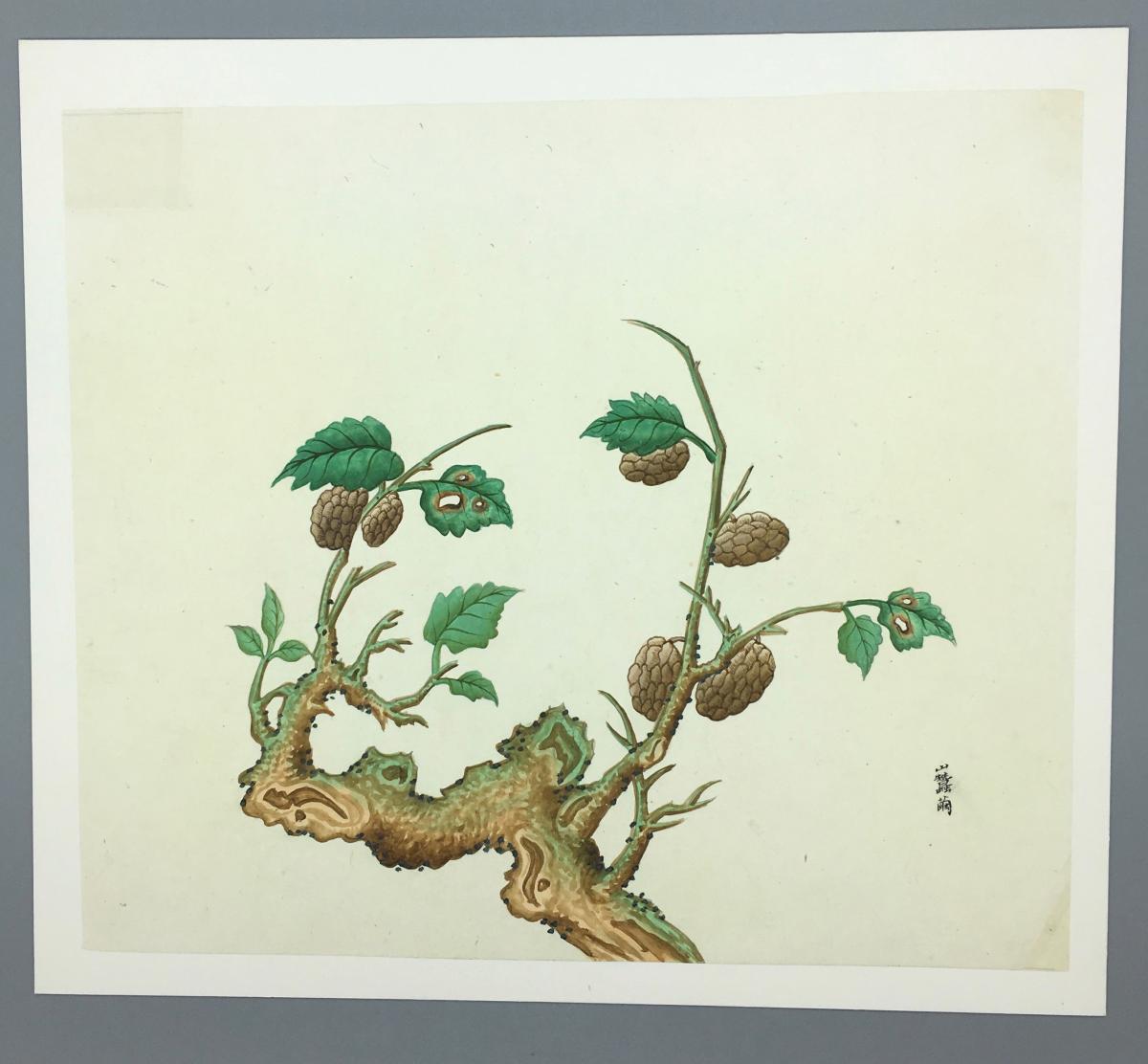 Set of 8 Chinese Gouache Painting Circa 1850
