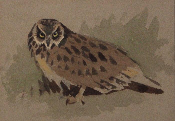 An owl, Archibald Thorburn (Scottish 1860-1935)