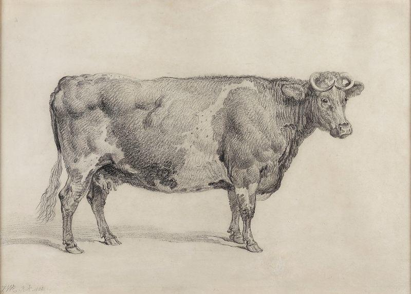 Mrs Arbuthnot's cow Maria, James Ward, R.A. (1769-1859) 