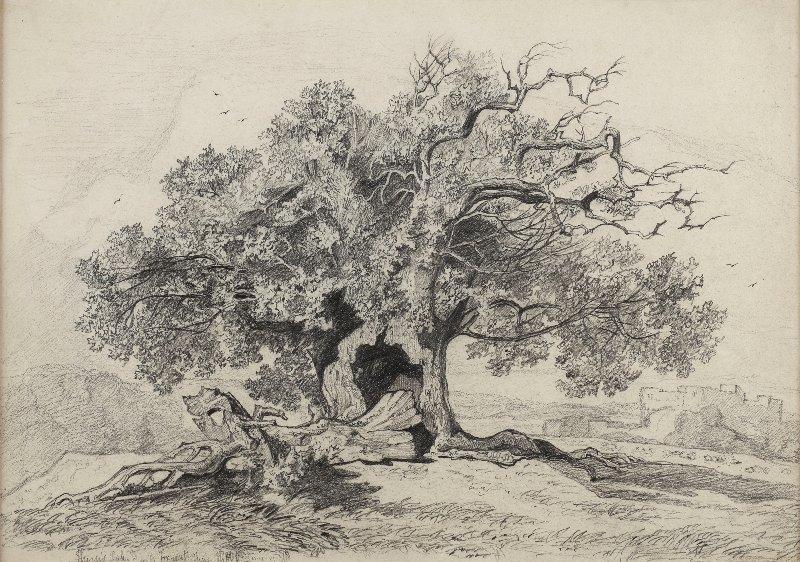 A mature oak tree near a castle, Miles Edmund Cotman (1810-1858)