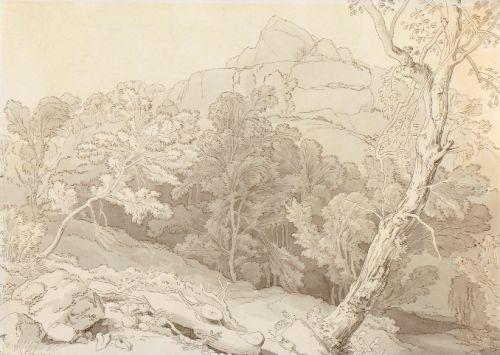 Study of Trees at Canonteign, Devon, John White Abbott 1763-1851