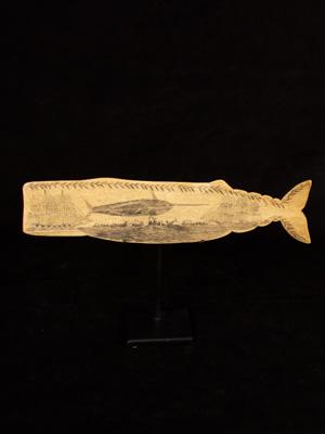 A whalebone plaque of a sperm whale_a