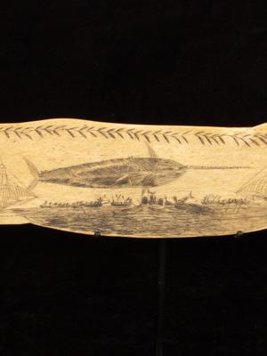 A whalebone plaque of a sperm whale_d