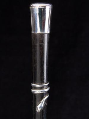 A silver vesta cane with serpent_b