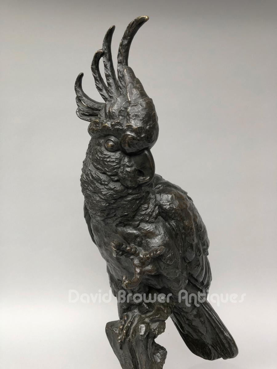 Bronze cockatoo, by Buschelberger