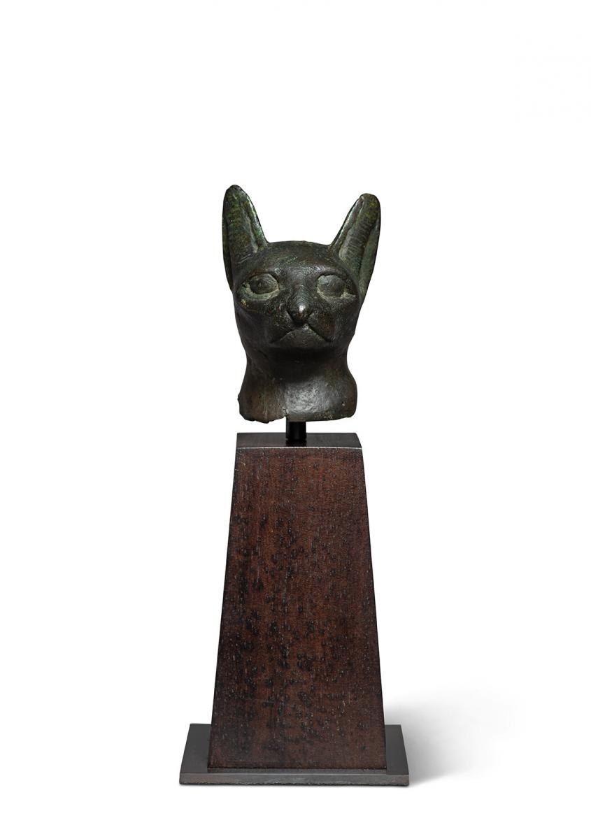 Egyptian head of a cat, Late Dynastic Period, 747-332 BC
