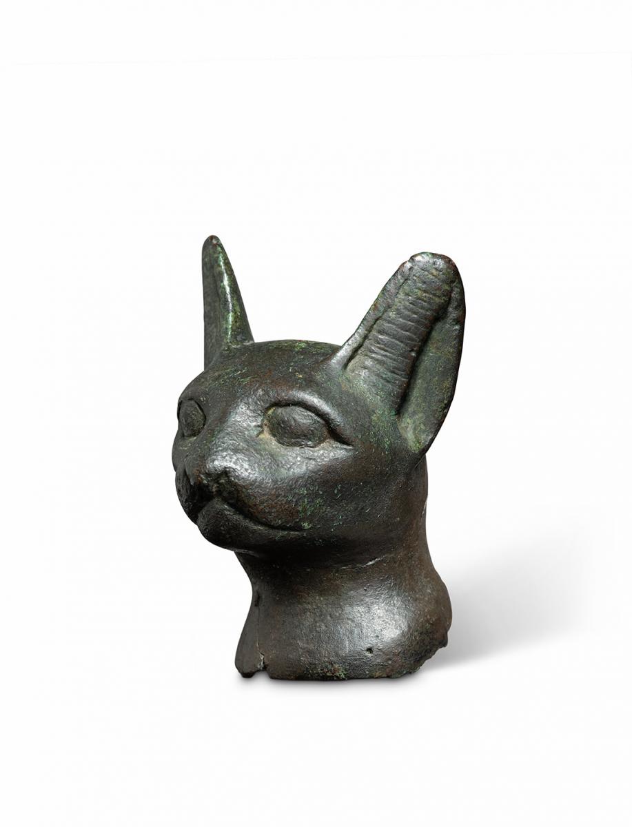 Egyptian head of a cat, Late Dynastic Period, 747-332 BC