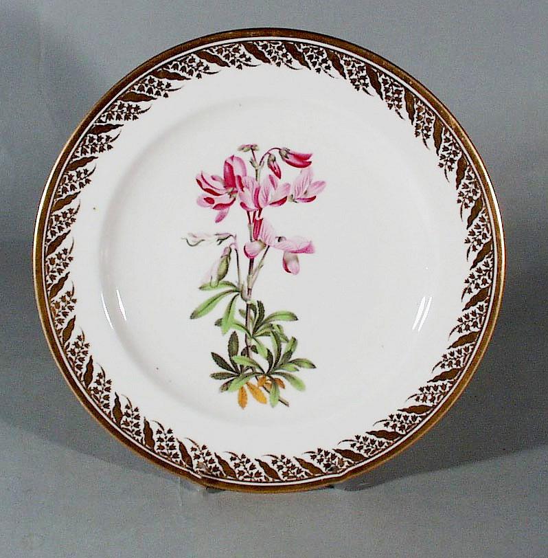 Antique Derby Porcelain Botanical Plate, Shrubby Rest Harrow, John Brewer, Patern No 115, Circa 1795-1805