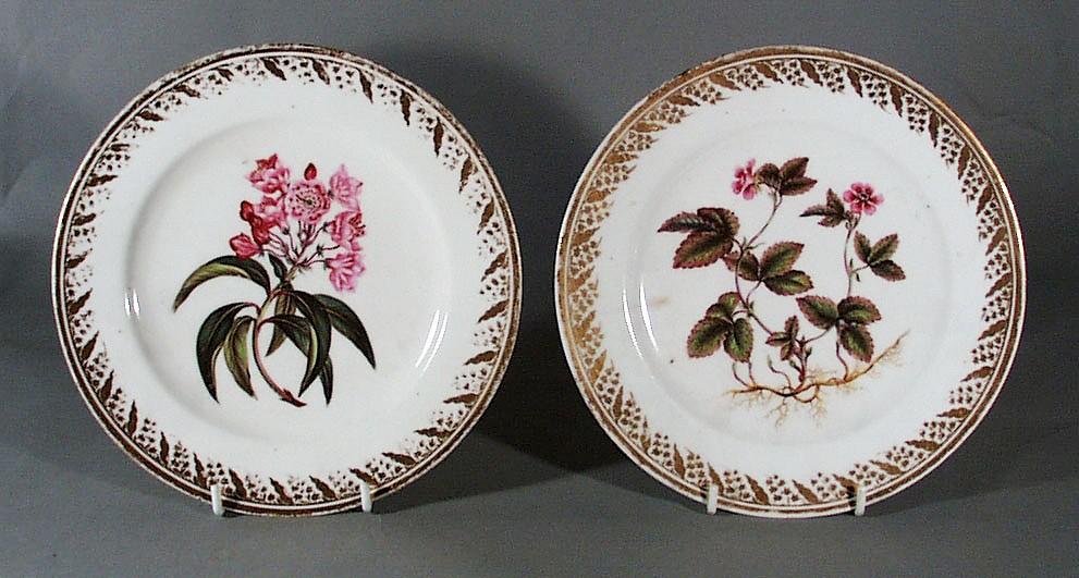 Derby Porcelain Botanical Specimen Plates, Circa 1795-1805