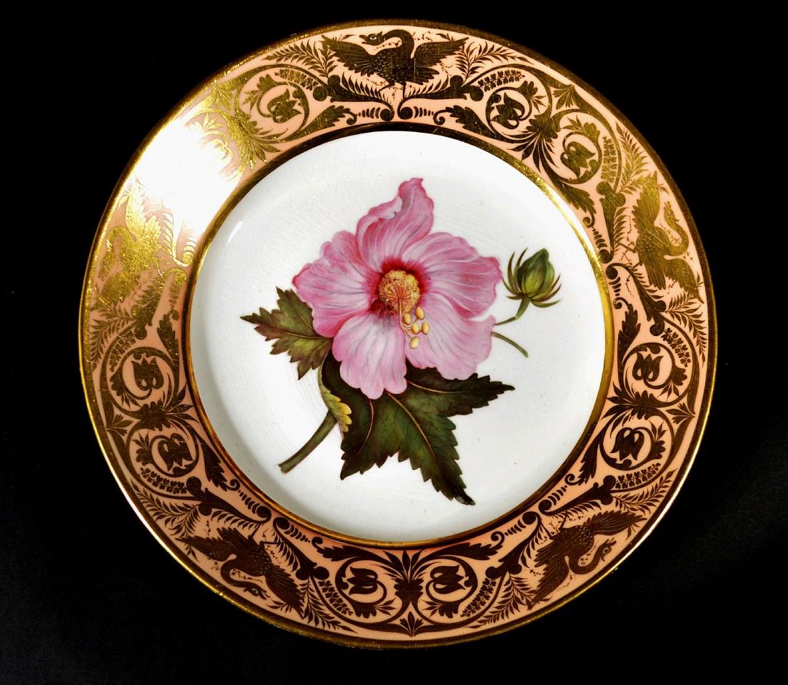 Antique Derby Porcelain Botanical Salmon-ground Plate, Marsh Hibiscus, by John Brewer after William Curtis, The Botanical Magazine, #882, 1806, Circa 1815