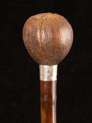 Coquilla nut-handled cane carved as a man's head_d