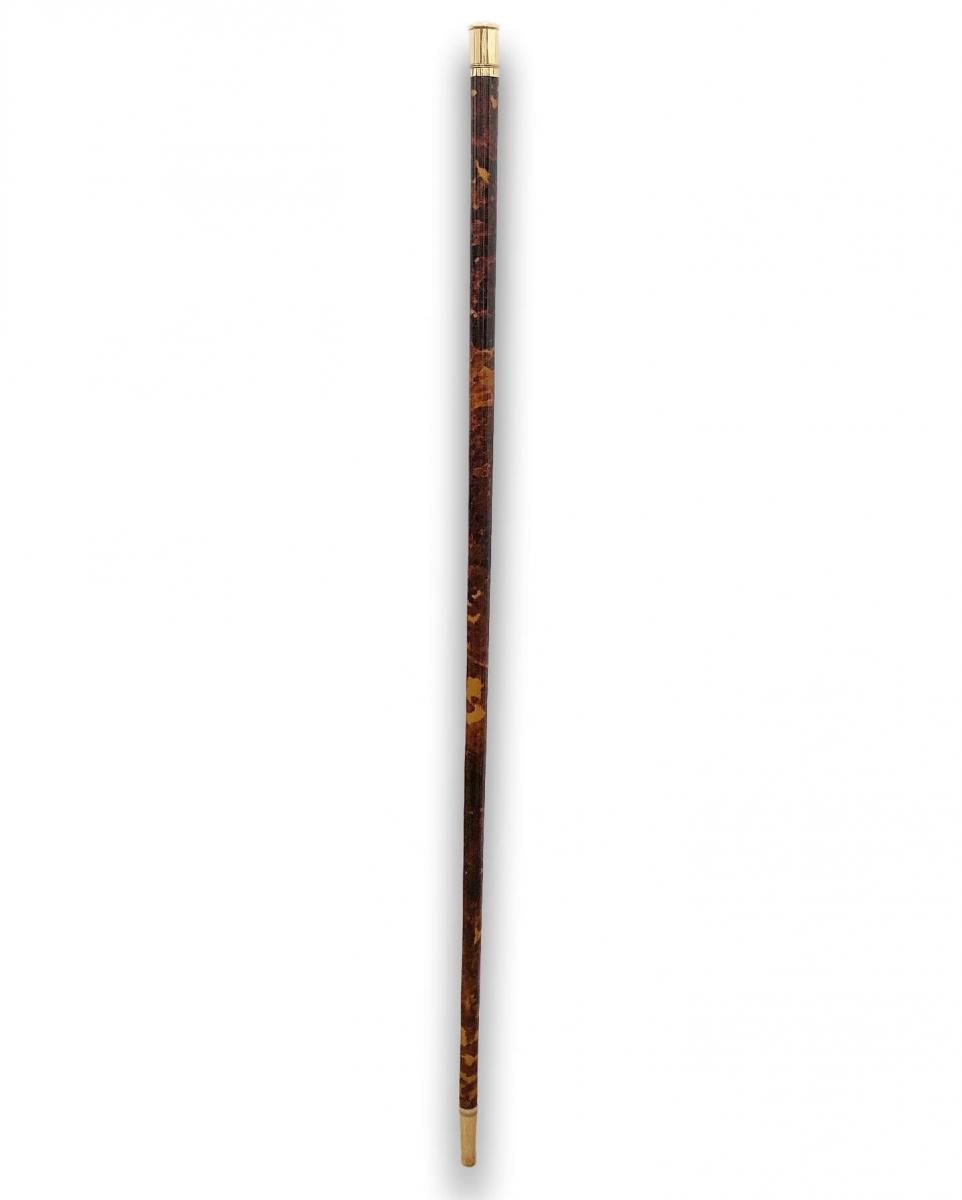 Tortoiseshell walking cane. French, c.1870