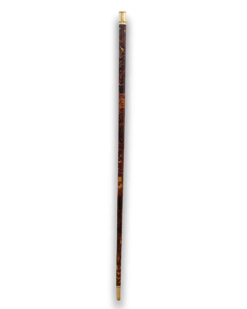 Tortoiseshell walking cane. French, c.1870