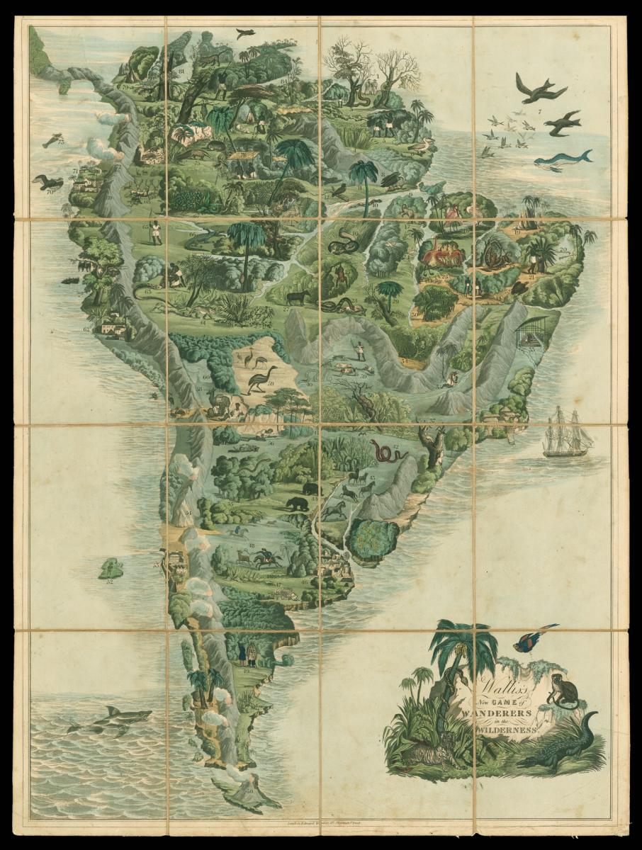 Rare Game Map of South America