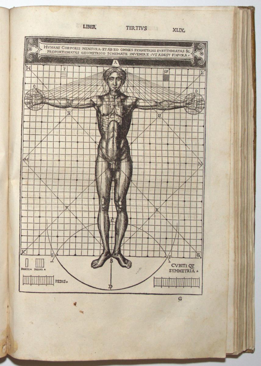 Vitruvian Man - Vitruvius Architecture