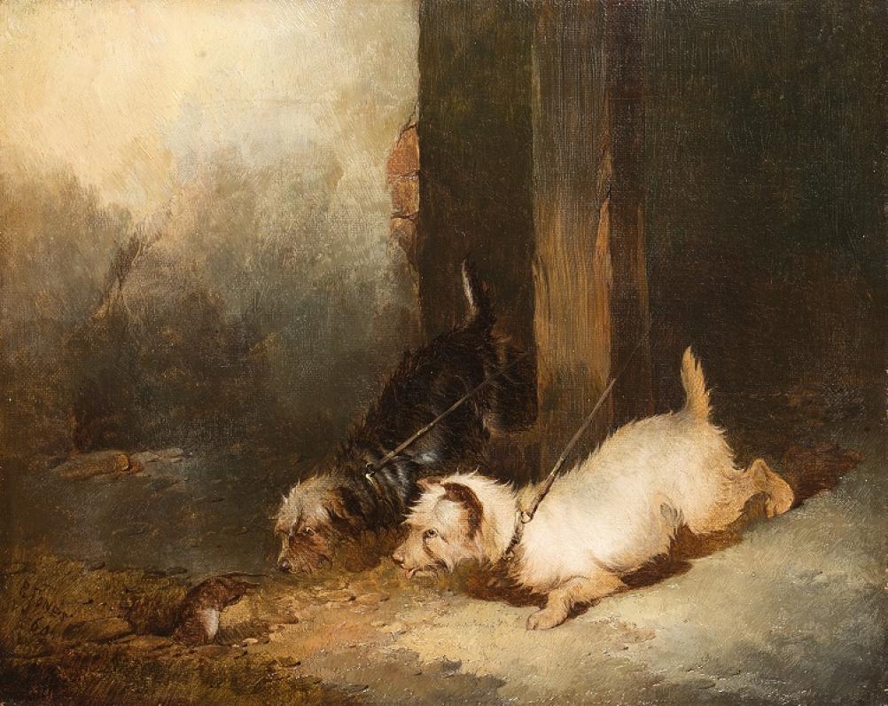 Paul Jones, Terriers Ratting