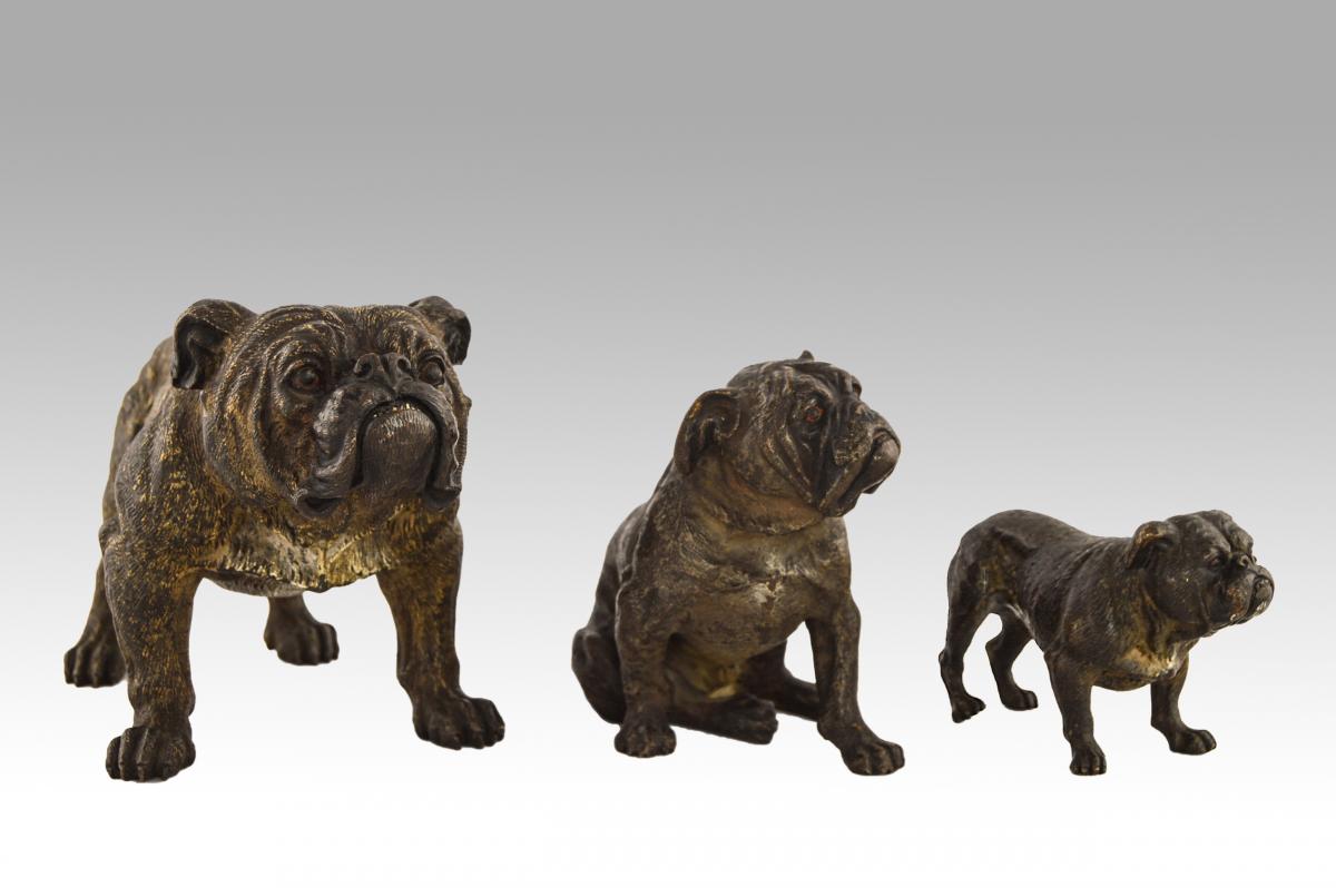 Austrian cold painted bronze sculptures of bulldogs
