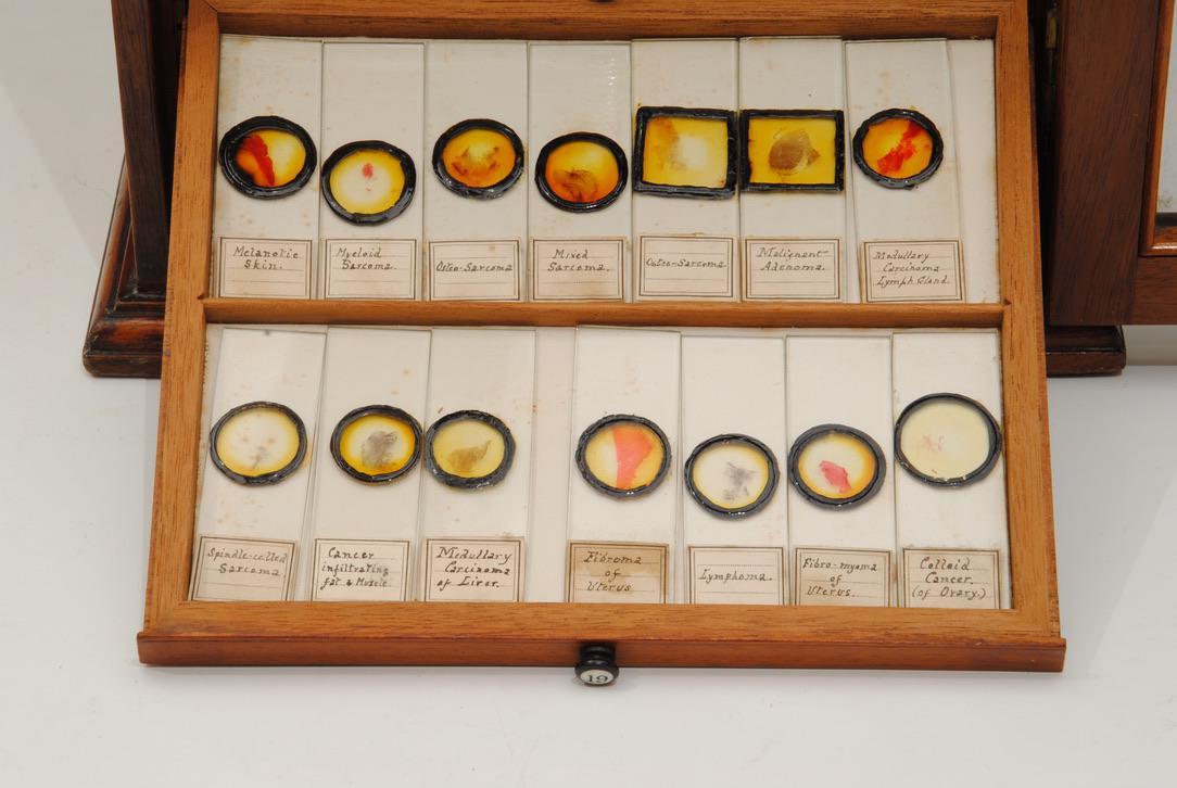 19th Century Microscope Slide Cabinet And 280 Slides
