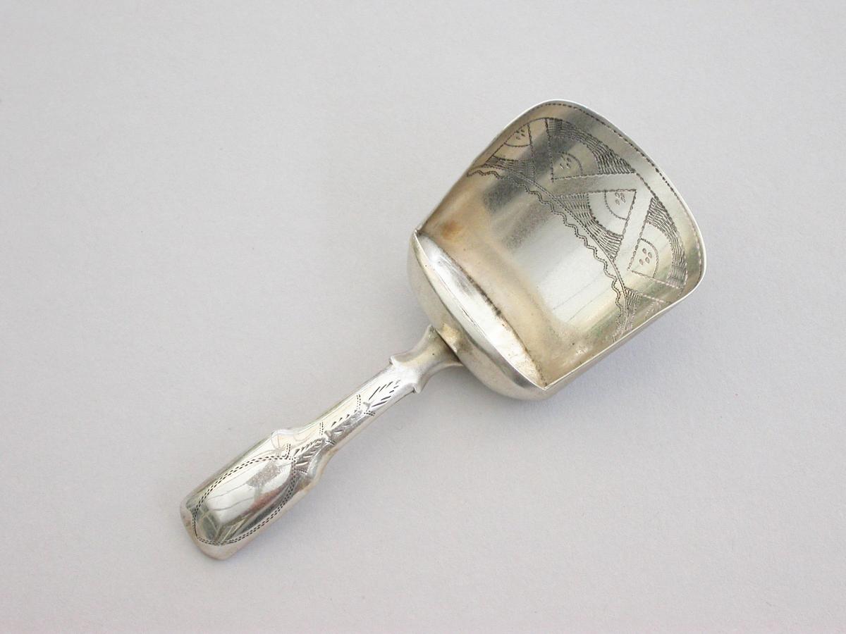 George III Silver Caddy Spoon
