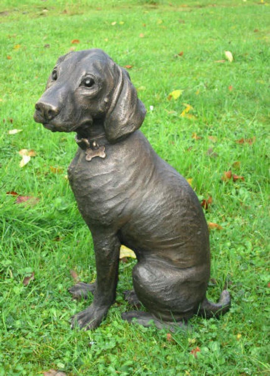 Suzie Marsh ARBS, Ruger - German Shorthaired Pointer puppy 11/75