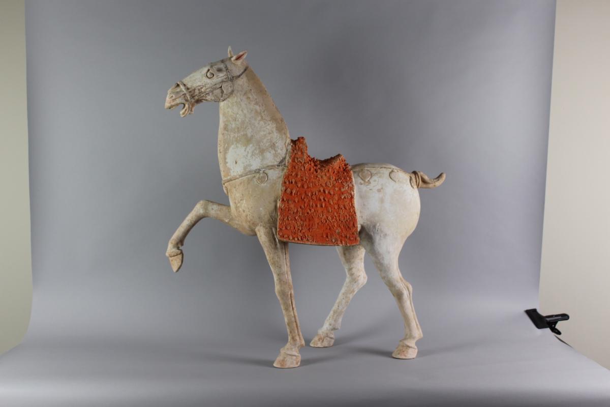 A Fine Chinese Terracotta Model of a Prancing Horse, Tang Dynasty