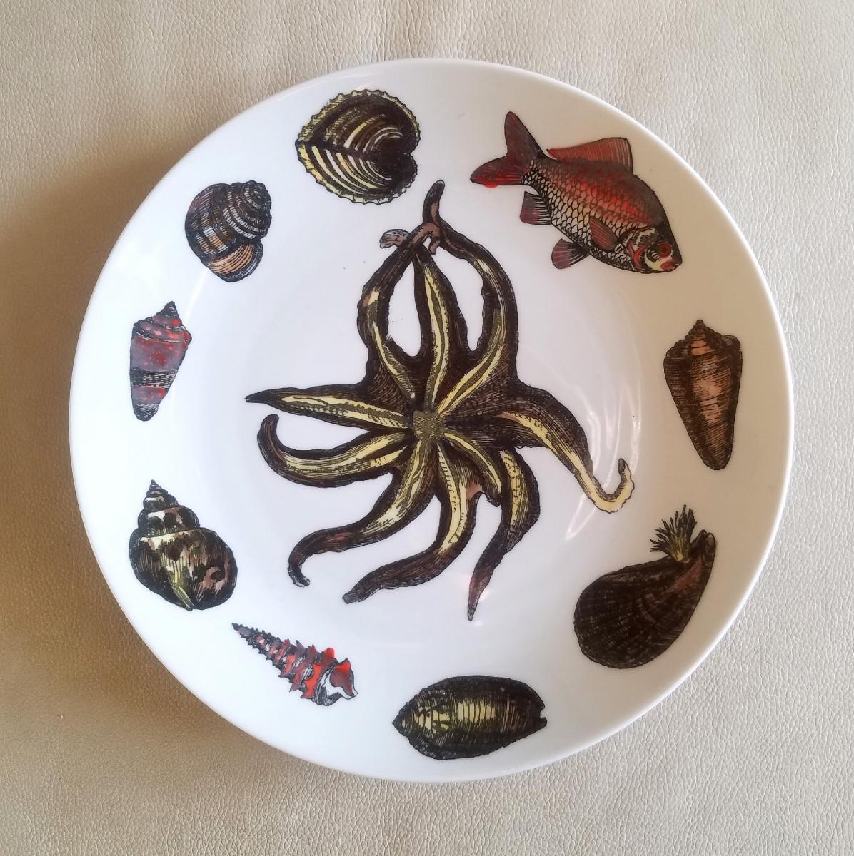 Piero Fornasetti Rare Dishes Decorated With Sea Anemones, Urchins & Shells, Conchiglie Pattern, Circa 1960's-early 1970's