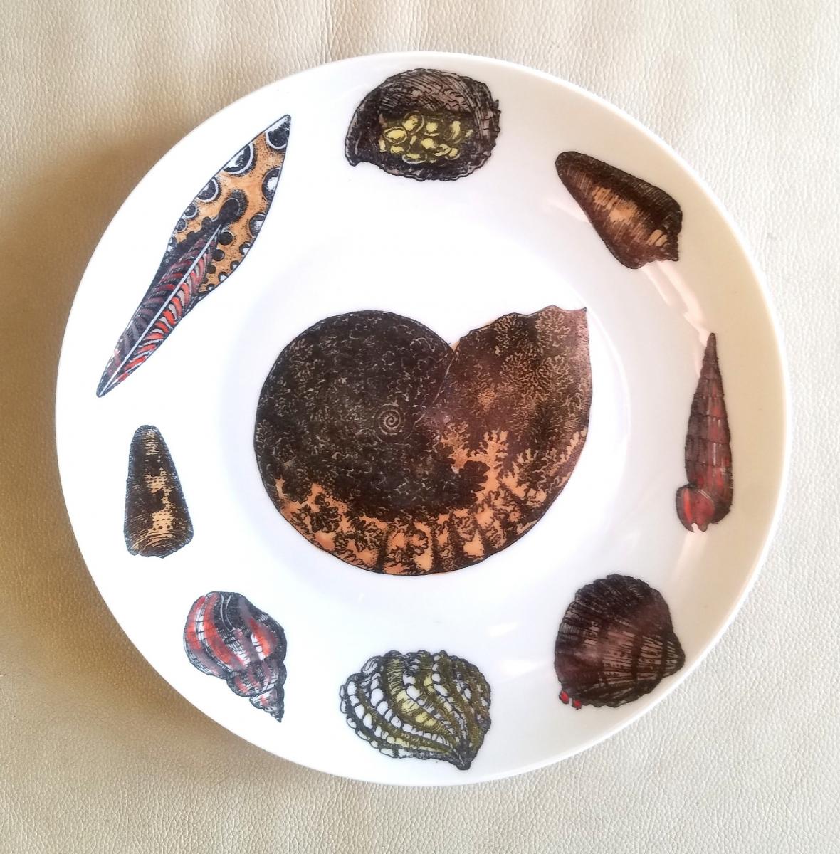 Piero Fornasetti Rare Dishes Decorated With Sea Anemones, Urchins & Shells, Conchiglie Pattern, Circa 1960's-early 1970's