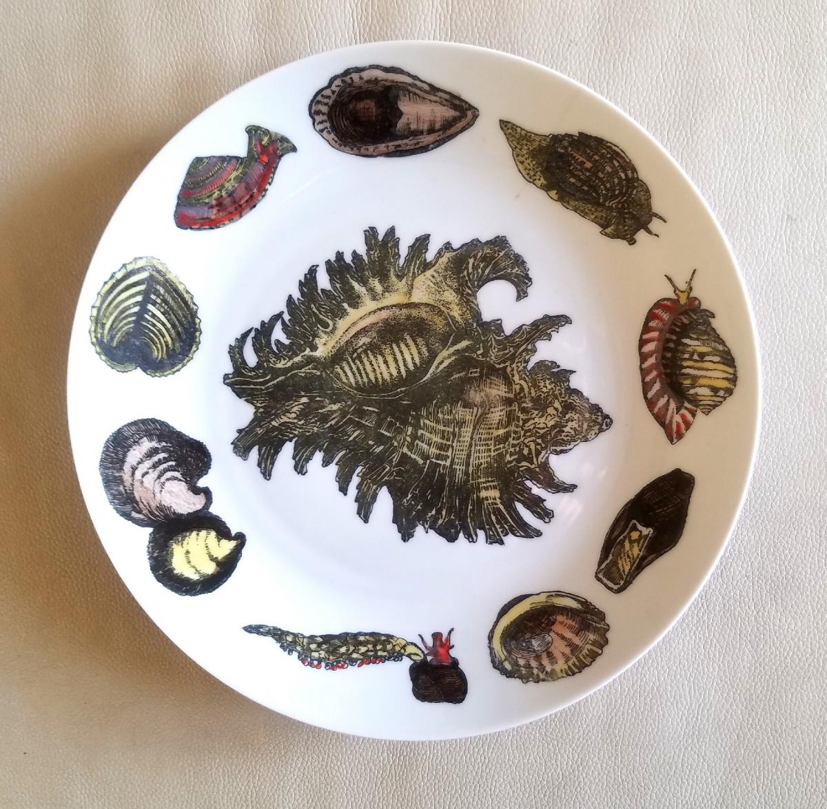 Piero Fornasetti Rare Dishes Decorated With Sea Anemones, Urchins & Shells, Conchiglie Pattern, Circa 1960's-early 1970's