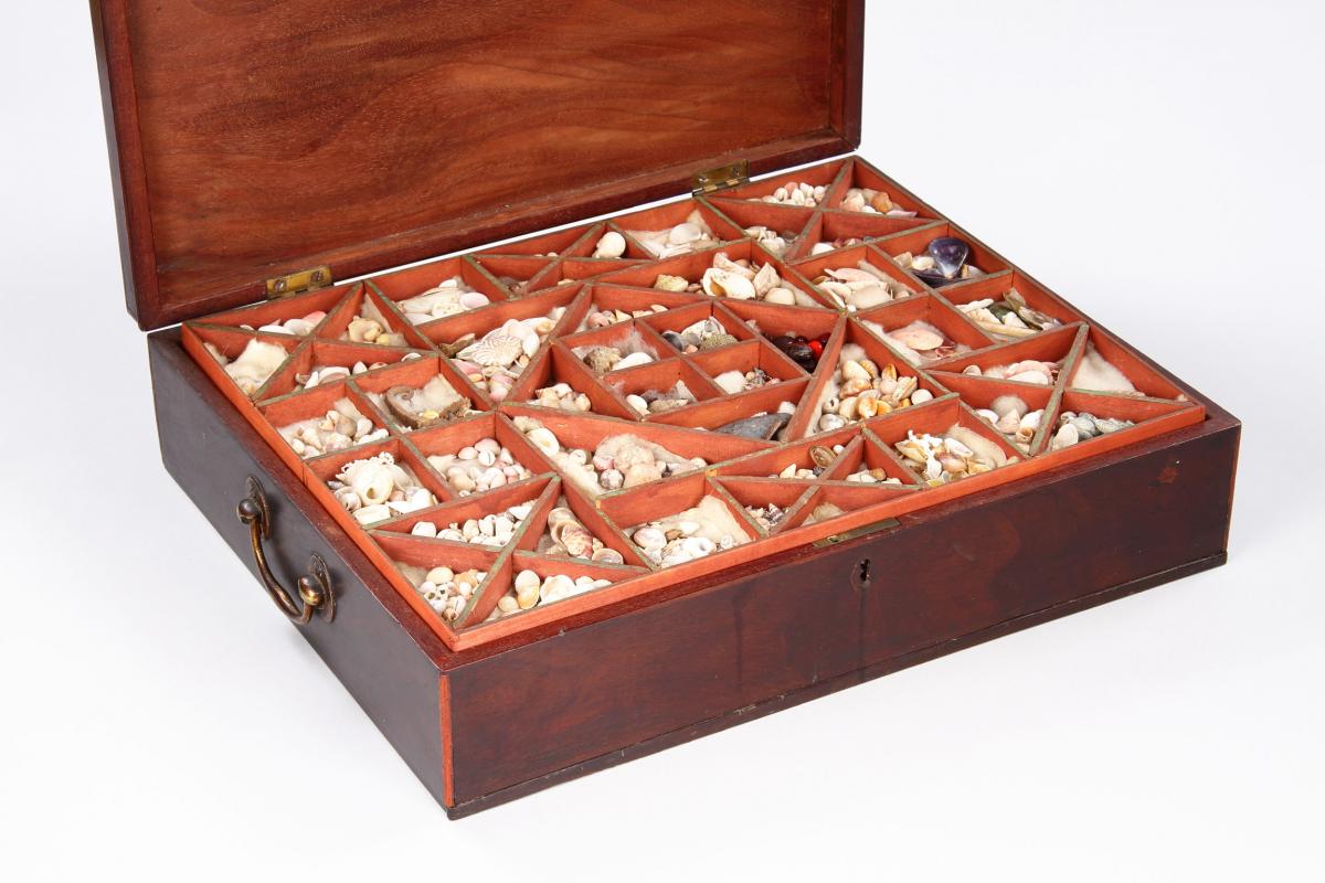 English Georgian Mahogany Collectors Table Box