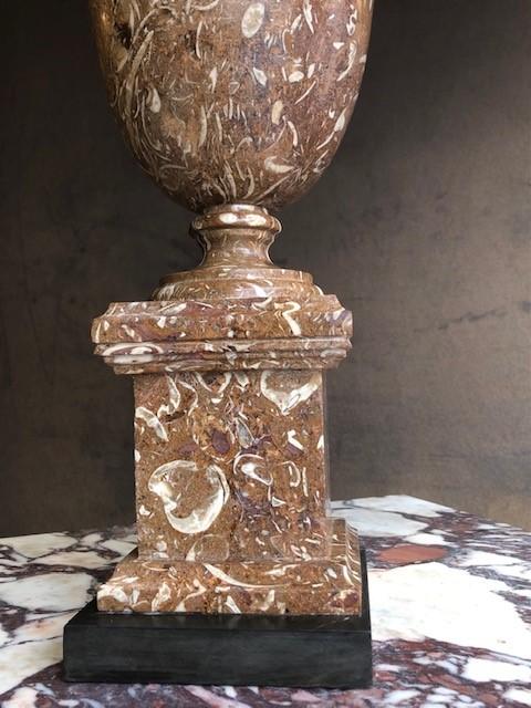 19th century fossil marble urn