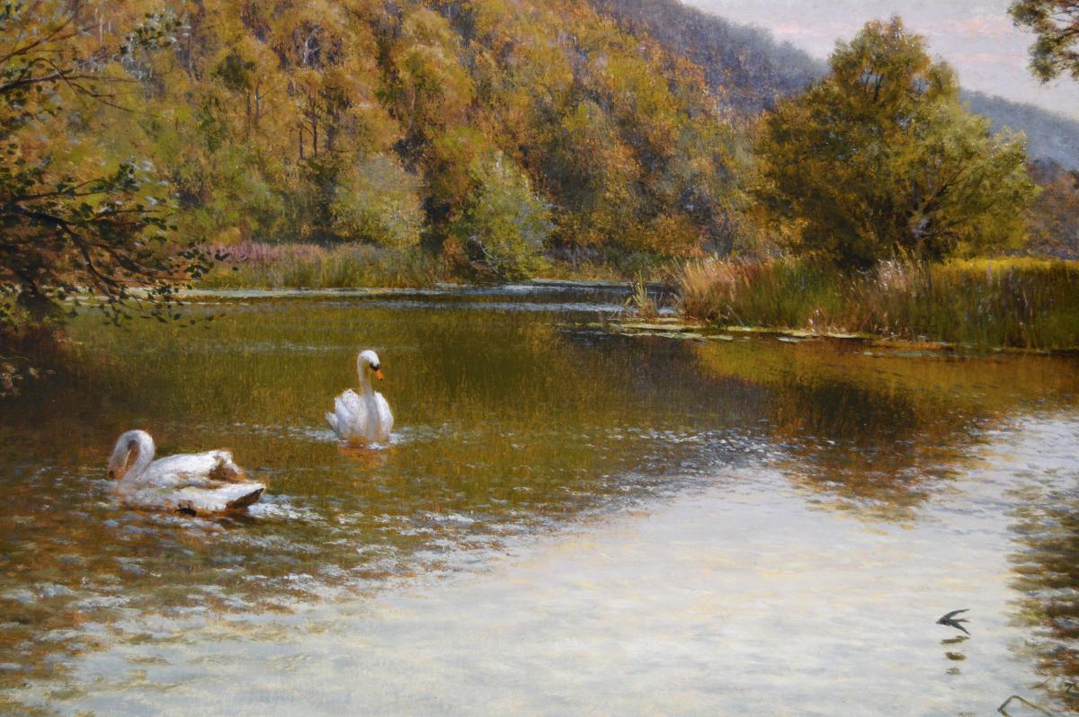 Landscape oil painting of swans on a river by Alfred Augustus Glendening Snr