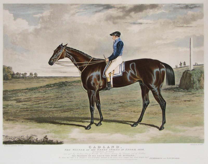 CADLAND, Winner of the Derby Stakes at Epsom